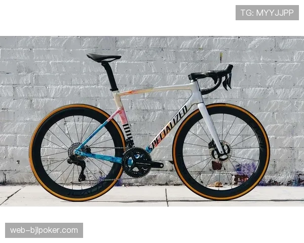 浙江骑行消费市场观察:25-40岁消费群体占比58%,高端公路车供不应求 浙江骑行消费市场观察:25-40岁消费群体占比58%,高端公路车供不应求